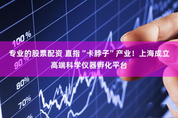 专业的股票配资 直指“卡脖子”产业！上海成立高端科学仪器孵化平台