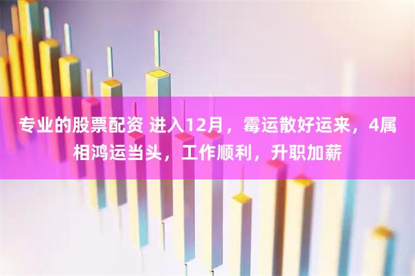 专业的股票配资 进入12月，霉运散好运来，4属相鸿运当头，工作顺利，升职加薪