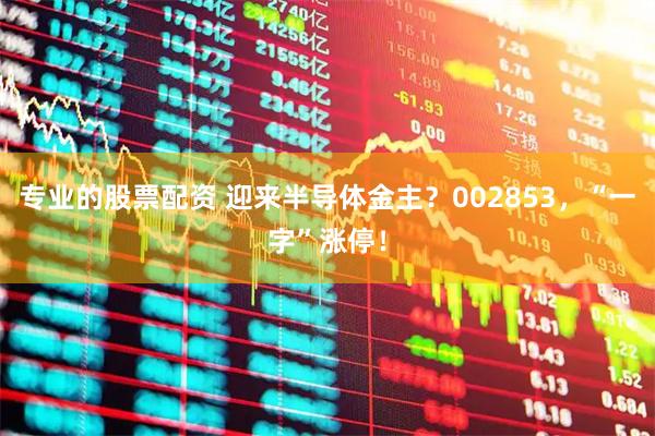 专业的股票配资 迎来半导体金主？002853，“一字”涨停！