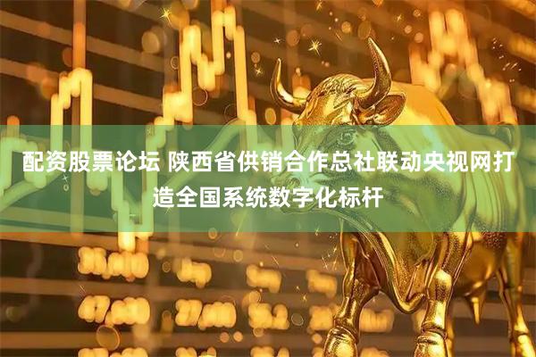 配资股票论坛 陕西省供销合作总社联动央视网打造全国系统数字化标杆
