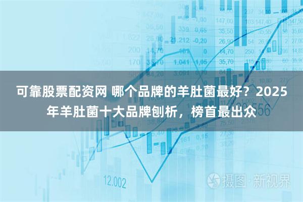 可靠股票配资网 哪个品牌的羊肚菌最好？2025年羊肚菌十大品牌刨析，榜首最出众
