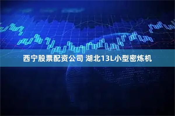 西宁股票配资公司 湖北13L小型密炼机