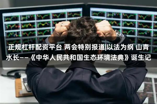 正规杠杆配资平台 两会特别报道|以法为纲 山青水长——《中华人民共和国生态环境法典》诞生记