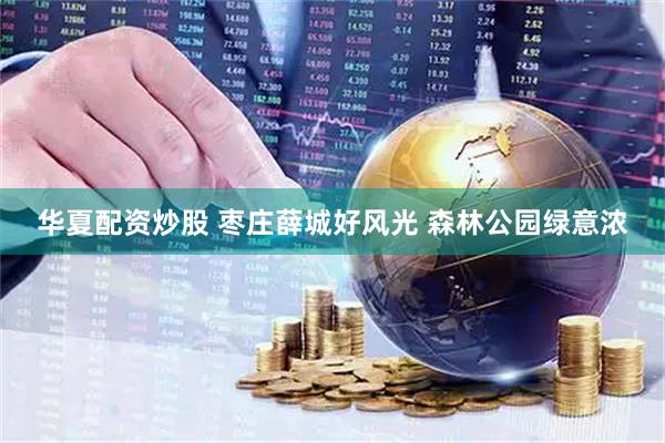 华夏配资炒股 枣庄薛城好风光 森林公园绿意浓